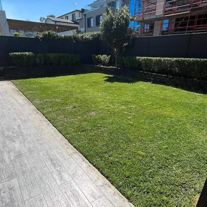 The same backyard mowed, edged and with the hedges trimmed square